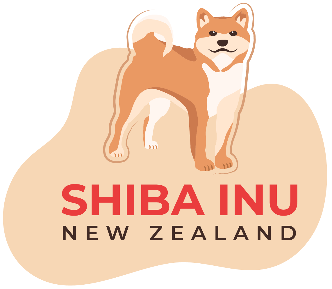 How To Get Shiba Inu Puppies Shiba Inu New Zealand
